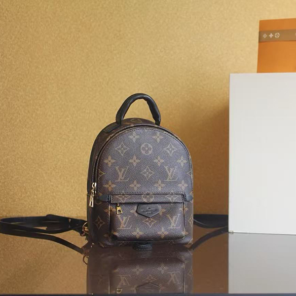 루이비통 팜 스프링스 미니 모노그램 캔버스 백팩 M44873-2568