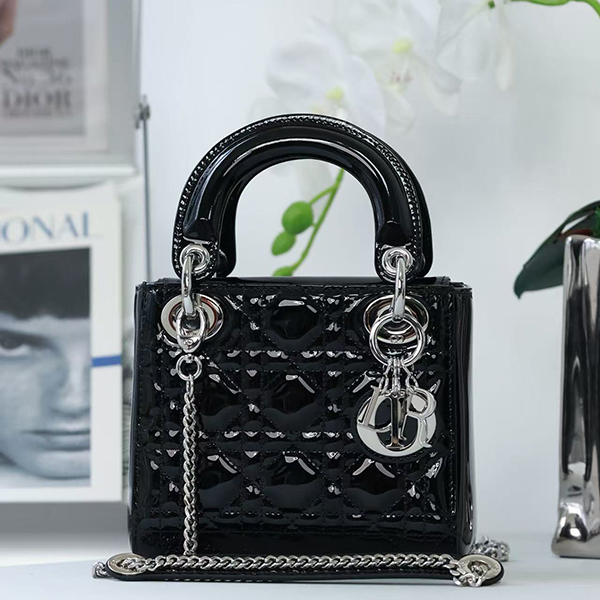 디올 레이디백 미니-3226