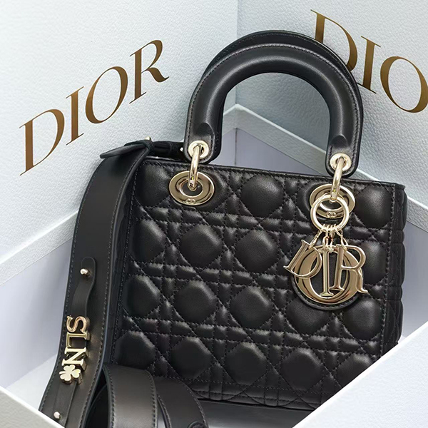 디올 레이디백 스몰-3230