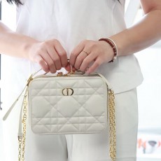 디올 카메라백-3245