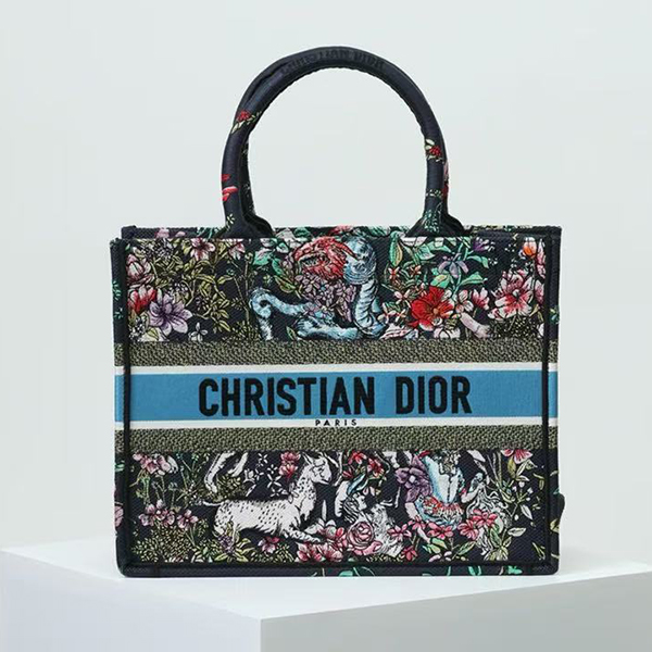 디올 북토트백 스몰-3260