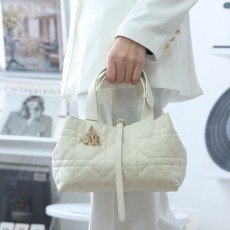 디올 뚜주흐 스몰 토트백-3291