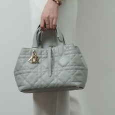 디올 뚜주흐 미디엄토트백M2821-3303